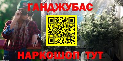 гашик Можга