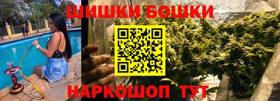 гашик Можга