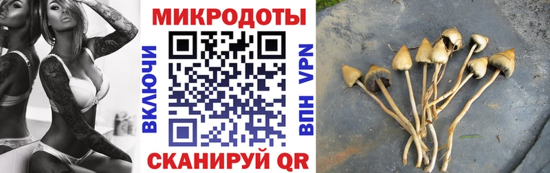 Псилоцибиновые грибы мухоморы  Кызыл 