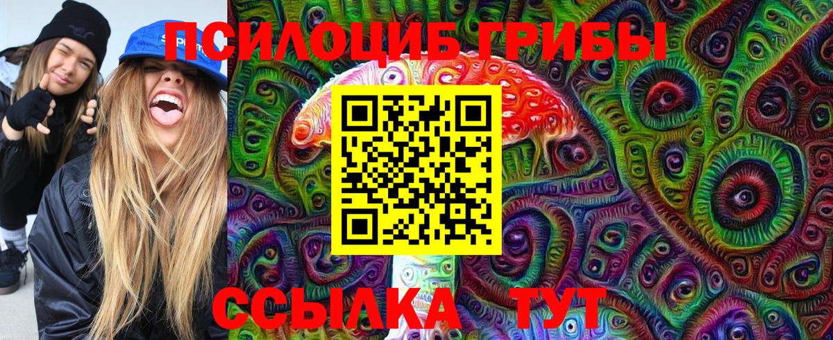 Псилоцибиновые грибы MAGIC MUSHROOMS Кызыл
