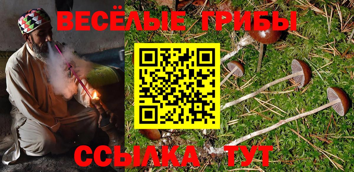 Галлюциногенные грибы мицелий  Вход с VPN  купить закладку  Кызыл 